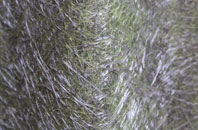 Blanerne fibreglass roof work